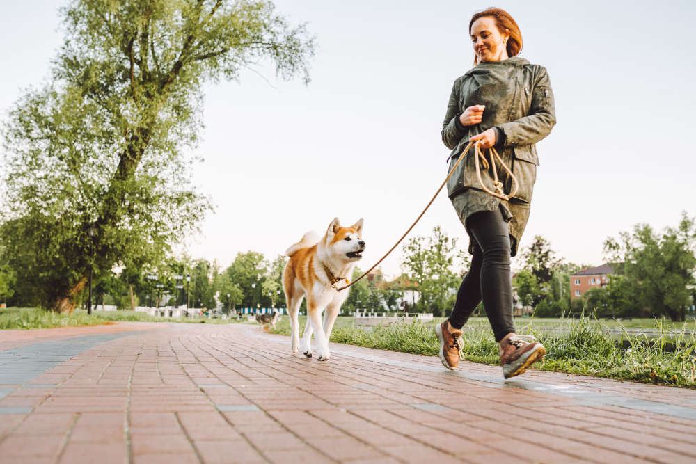 UL research shows that even moderate exercise reduces the risk of depression